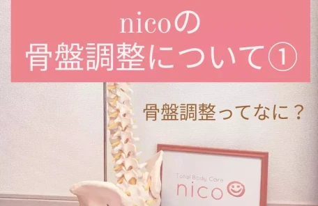 ニコの骨盤調整について①