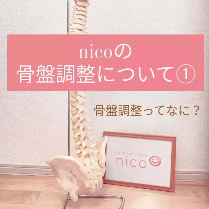 ニコの骨盤調整について①
