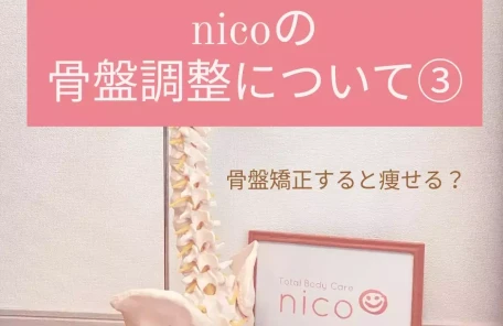 ニコの骨盤調整について3
