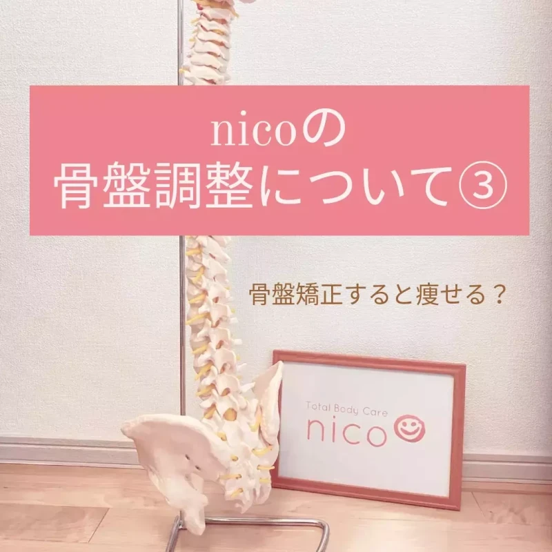 ニコの骨盤調整について3