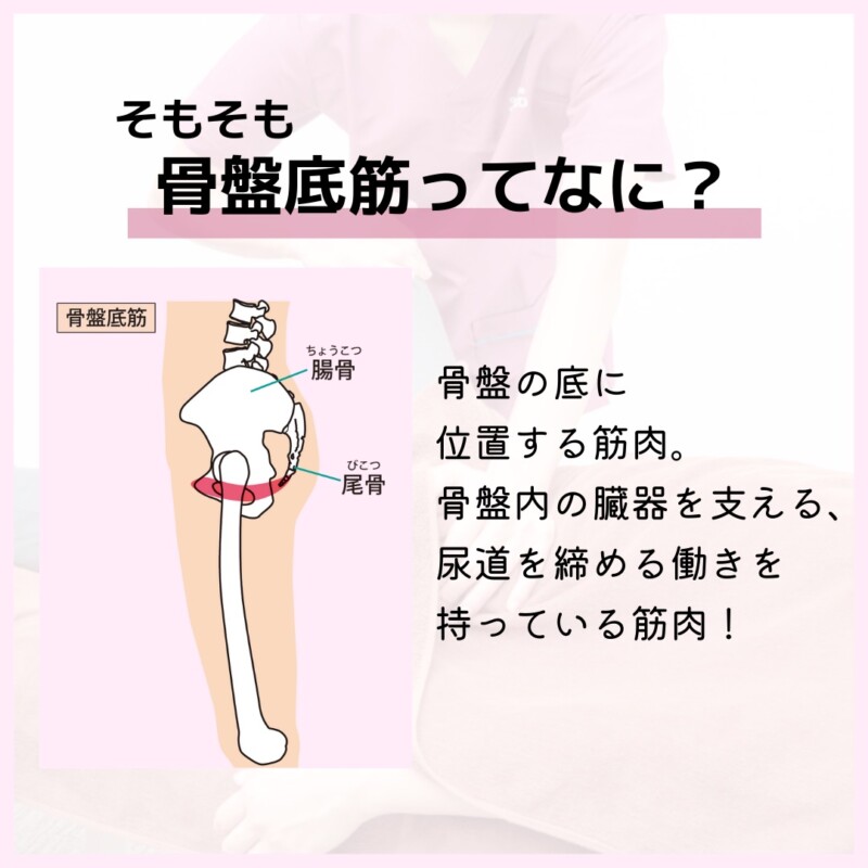 骨盤底筋ってなに？